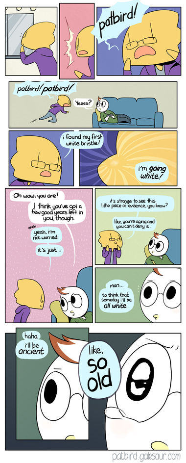 it’s funny now it’s funny now
